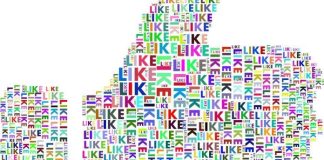 Foresting Ico: The Social Media Network Built For Its Users