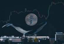 Altcoins This Week: Judge Bans Crypto Fraudster For Life, Whale Movements Causing Ethereum Bother And More Altcoins This Week: Judge Bans Crypto Fraudster For Life, Whale Movements Causing Ethereum Bother And More