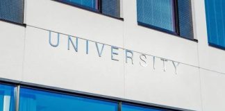 Crypto Survey: What Do Today’s Students Think Of Cryptos?