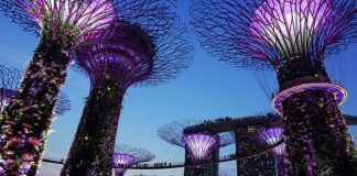 Singapore Embraces Tokenization Of Assets