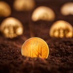 InnovaMinex – A Solution To Track Precious Metals On The Blockchain Innovaminex – A Solution To Track Precious Metals On The Blockchain