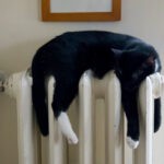 SEC Is Warming Up To Cryptocurrencies Sec Is Warming Up To Cryptocurrencies