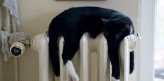 Sec Is Warming Up To Cryptocurrencies