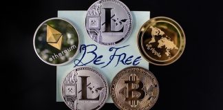 Circle And Coinbase Share Performance Report And Plans For Usdc