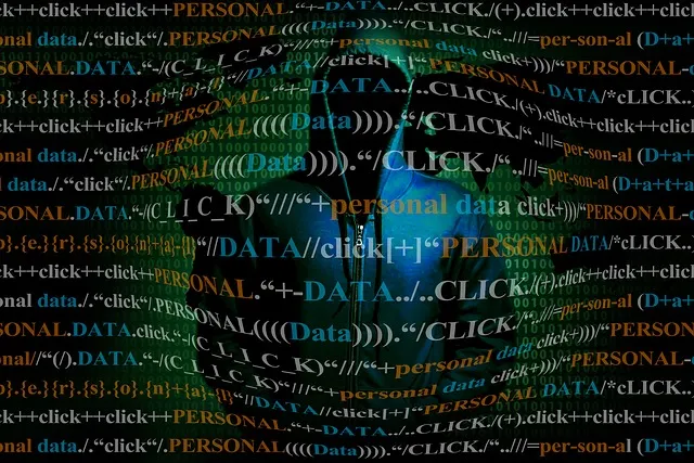 personal-data-3914809_640