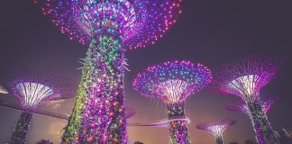 Singapore Proposes Cryptos To Be Exempt From Vat