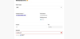 Ip2pglobal – Filling Up The Void In Crypto Financing Markets