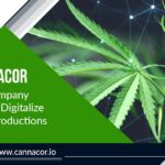 CannaCor: The Company Looking To Digitalize Cannabis Productions Cannacor: The Company Looking To Digitalize Cannabis Productions