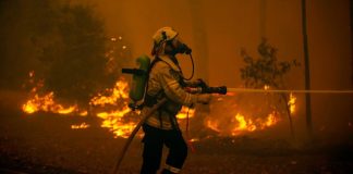 Bitcoin Crowdfund Targets 1 Btc For Australian Bush Fire Victims