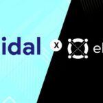 Tidal Finance Brings Smart Contract Insurance To Elrond Tidal Finance Brings Smart Contract Insurance To Elrond