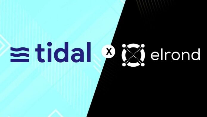Tidal Finance Brings Smart Contract Insurance To Elrond