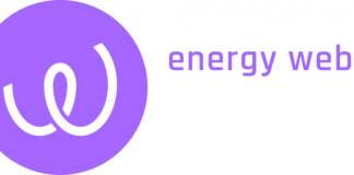 Energy Web Secures Backing From Google Impact Challenge