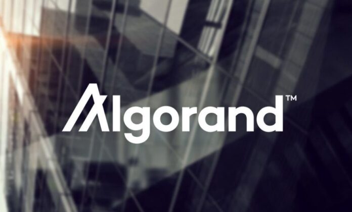 Michael Arrington’s Vc Fund Invests Us$100m In Algorand
