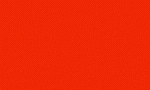 Contact Us Now-2