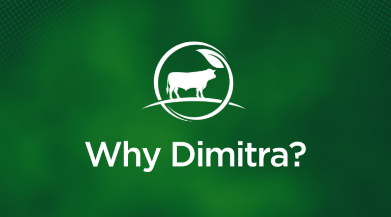 Why Dimitra?