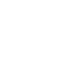 Font Type White Crypto Council Logotype