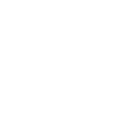 Icon White Crypto Council Logotype