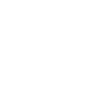 Main Version White Crypto Council Logotype