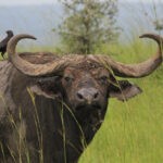 Glassnode Report: Bullrun On The Verge? Glassnode Report: Bullrun On The Verge?