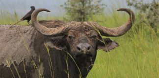 Glassnode Report: Bullrun On The Verge?
