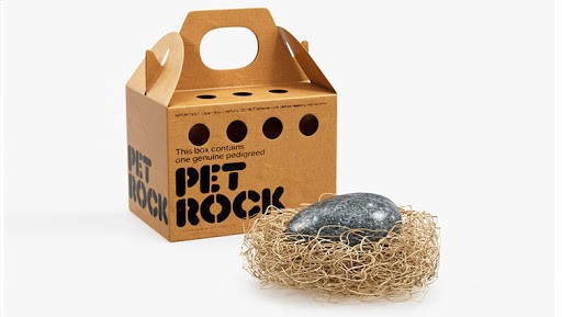 Digital Pet Rock Nft Sold For Over 130.000 Usd