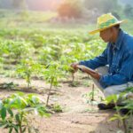 Dimitra, A Leading AgTech Provider, Is Incubated By ZenX Dimitra, A Leading Agtech Provider, Is Incubated By Zenx