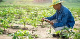 Dimitra, A Leading Agtech Provider, Is Incubated By Zenx