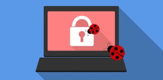 Nfts Worth Over 100,000 Usd Destroyed By Opensea Bug