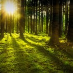Klima DAO Is Building A New, Regenerative Monetary System.