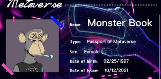 Global Debut Of First Metaverse Nft Passport For The Future Of Metaverse