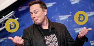 Dogecoin, Elon Musk