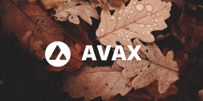 Avax Crosses All-time-high In The Autumn Rally