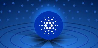 Cardano Is The Most Developed Crypto Project Of 2021 On Github