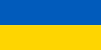 Pussy Riot And Trippy Labs Launch Ukraine Dao