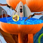 Shitcoin2022 Conference Will Be Held In Miami Shitcoin2022 Conference Will Be Held In Miami