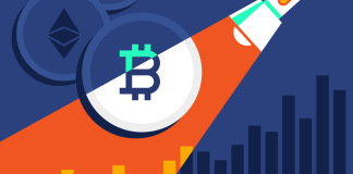 Bitcoin Reaches All Time High in Daily Transactions Amidst Economic Turmoil