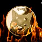 Shiba Inu Insider Reveals Update On Shib Burn By Shibarium 1