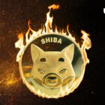 Shiba Inu Insider Reveals Update On Shib Burn By Shibarium