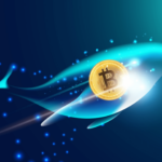 The Bitcoin Accumulation Mystery