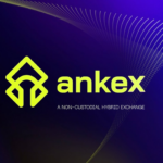Ankex Exchange Halts Just Before Beta Launch Amidst Crypto Revival