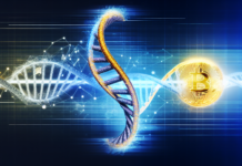 Windtree Therapeutics’ Bold $520M Pivot: From Biotech To Binance Coin Treasury windtrees 520m shift to binance coin treasury strategy