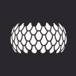 Sirin Labs Sirin Labs