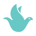 Well, Inc. Well, Inc.